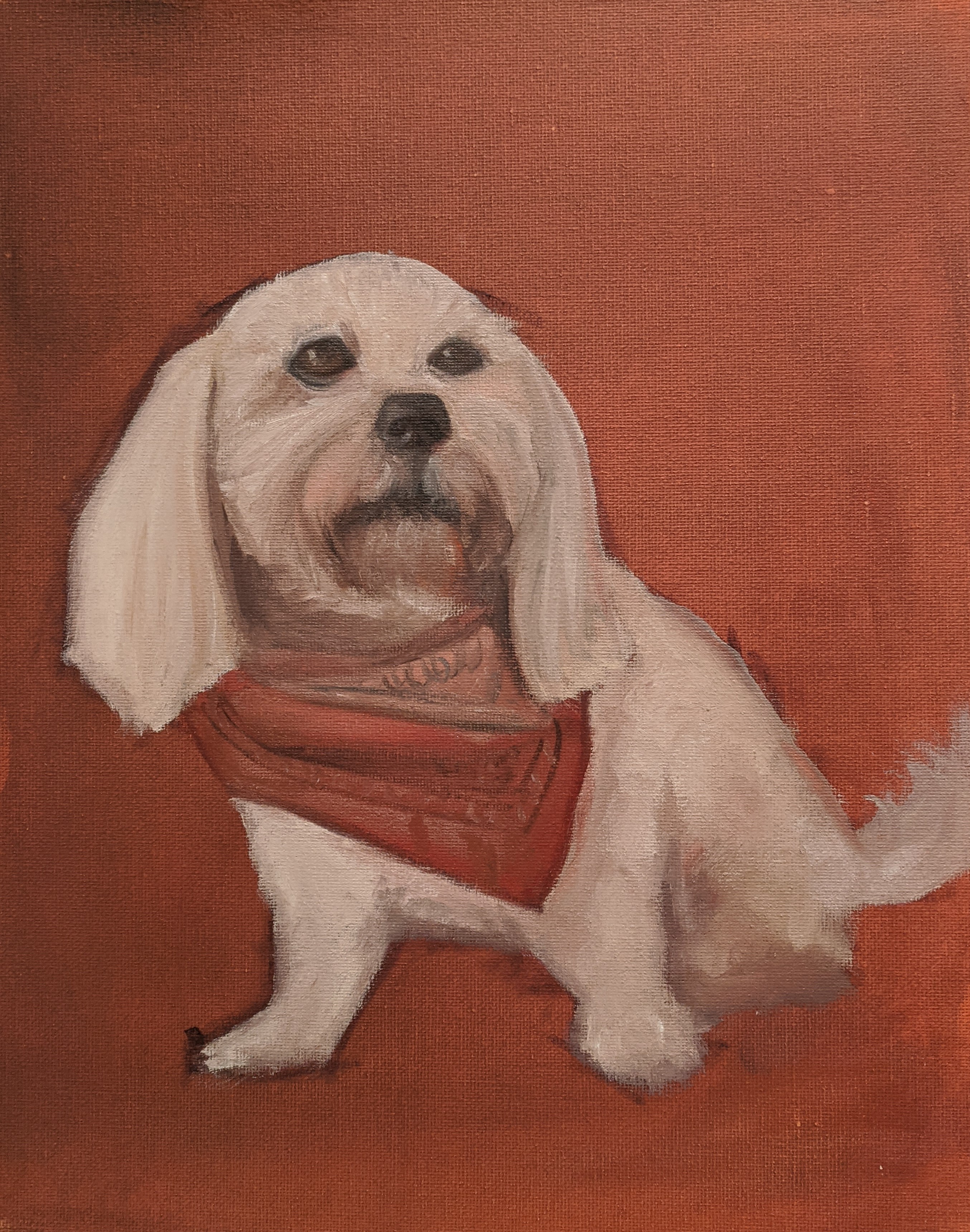 Oil painting of a fluffy white dog wearing a red bandana, against a warm brown background.